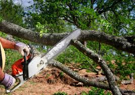 Best Lawn Grading and Leveling  in Altamont, IL